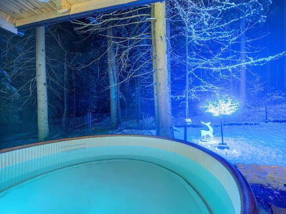 זקופאנה Chata Pod Nosalem - Domek Z Jacuzzi Z Bala W Zakopanym מראה חיצוני תמונה